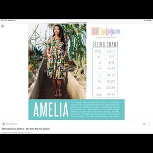 Lularoe Amelia dress